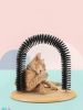 Cat Arch Scratcher - Self Grooming - Cat Toy - Self Groomer, Massager, Scratcher